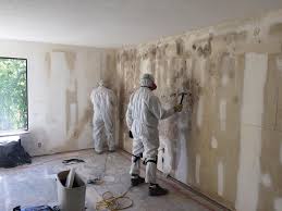 Why You Should Choose Our Mold Remediation Services in Port St John, FL